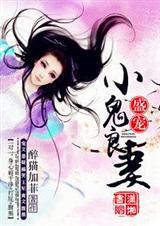 盛寵小蠻妃小說