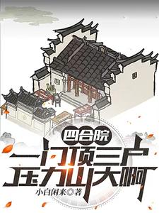 家住四合院小說