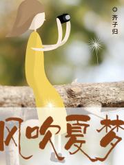 夏风歌词风吹过 夏风歌词风吹过