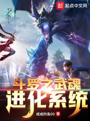 斗罗之武魂进化系统百度百科 斗罗之武魂进化系统百度百科