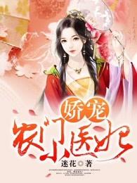 娇宠农门小医妃有声书