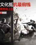 文化抵抗最前线TXT校对版 文化抵抗最前线TXT校对版