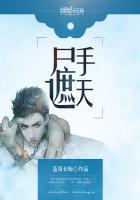 只手遮天2方丈 只手遮天2方丈