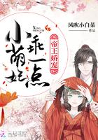 帝王的小宠妃 帝王的小宠妃