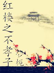 红楼之贾瑚不孝txt 红楼之贾瑚不孝txt