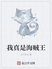 我要听海贼王 我要听海贼王