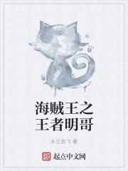 海贼王之明哥的儿子 海贼王之明哥的儿子