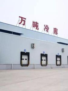 四合院开局迎娶秦淮茹免费