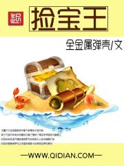 捡宝王小涛全文 捡宝王小涛全文