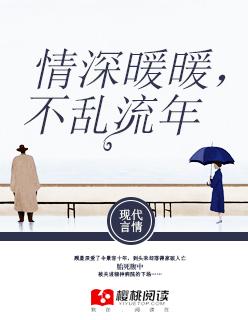 情深乱我流年免费阅读