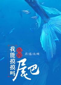 我能摸摸你的尾巴吗晋江 我能摸摸你的尾巴吗晋江