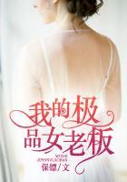 我的极品女老板张馨 我的极品女老板张馨