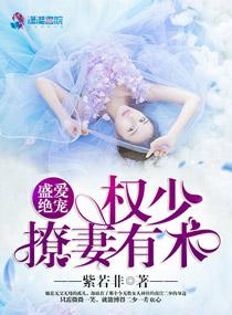 权少追妻盛婚秘爱是宠文吗