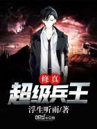 超级兵王十大巅峰都市修真 超级兵王十大巅峰都市修真