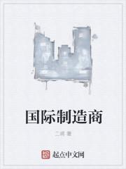 国际制造商二将 国际制造商二将