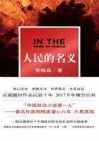 人民的名义简介视频 人民的名义简介视频