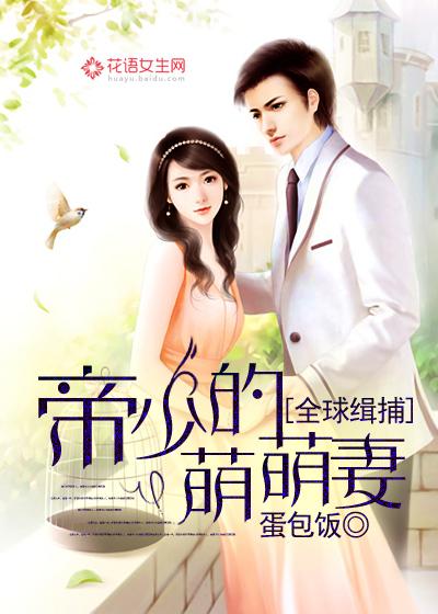 全球缉捕小萌妻 全球缉捕小萌妻