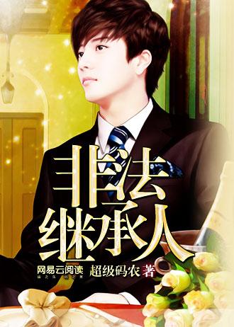 非法继承人TXT电子书 非法继承人TXT电子书