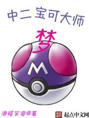 中二宝可大师梦扫书 中二宝可大师梦扫书