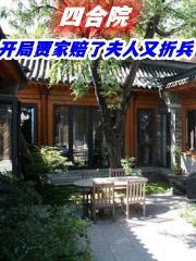 四合院开局贾家赔了夫人又折兵无弹窗王卫兵