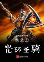 网游之光环圣骑lvse