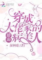 穿成大佬家的娇弱病美人简介 穿成大佬家的娇弱病美人简介