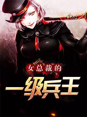 女总裁的顶级兵王人物简介