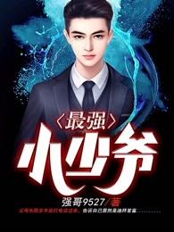最强小少爷 最强小少爷