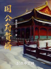 国公府赘婿 国公府赘婿