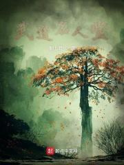 光芒下的12颗星 光芒下的12颗星