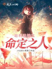 哈利波特之命定之人