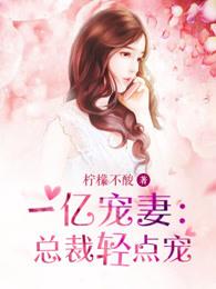 一亿宠妻:总裁轻点宠 一亿宠妻:总裁轻点宠