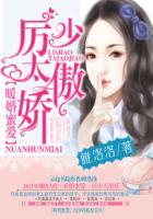 暖婚蜜爱:厉少太傲娇 暖婚蜜爱:厉少太傲娇