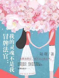 冒牌法官:我的灵魂不是我 冒牌法官:我的灵魂不是我