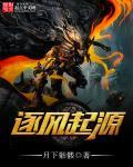 逐风起源 逐风起源