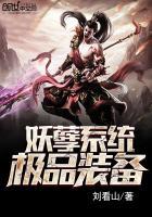 妖孽系统极品装备 妖孽系统极品装备