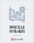 神探是这样炼成的 神探是这样炼成的