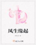 凤生缘起 凤生缘起
