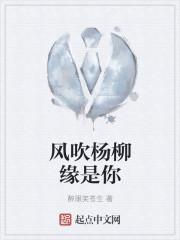 风吹杨柳缘是你 风吹杨柳缘是你