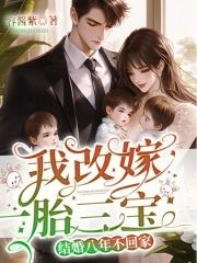 结婚八年不回家?我改嫁一胎三宝 结婚八年不回家?我改嫁一胎三宝