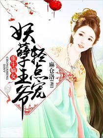 达芬奇宝藏国语版在线观看