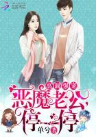 高调强宠:恶魔老公,停一停 高调强宠:恶魔老公,停一停