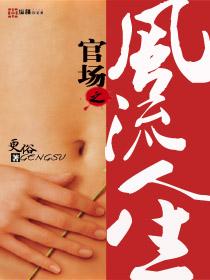 官场之风流人生 官场之风流人生