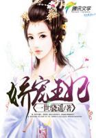 娇宠王妃 娇宠王妃