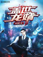盖世龙婿 盖世龙婿
